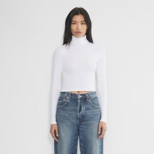 Aritzia TNA HomeStretch Ribbed Turtleneck